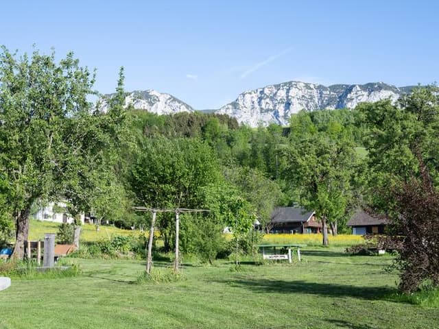 Sommeryoga beim Hanslmann, Seefeld