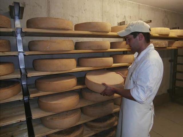 Guided Tour of the Hingerer Farm Dairy