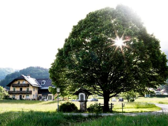 Klosterführung durch Kirche, Kräutergarten und Likörkellerei