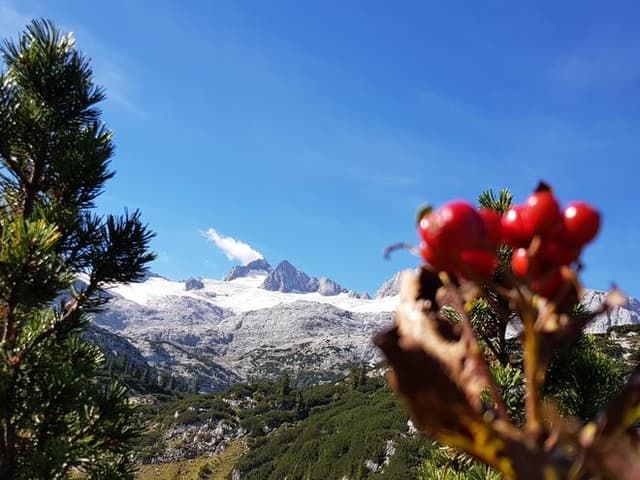 NATURSCHAUSPIEL Faszination Dachstein im Sommer