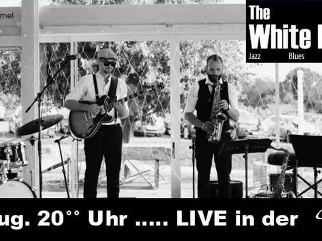 THE WHITE HATS, Live in der Gustobox