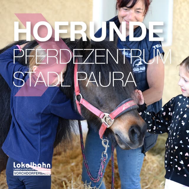Hofrunde + Mounted Games Turnier + ASVÖ Familiensporttag im Pferdezentrum Stadl-Paura
