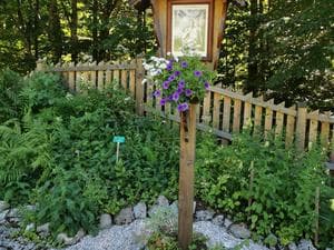 Kräutergarten Führung
