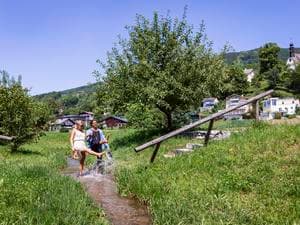 Kneippen "Wasser ist Leben"